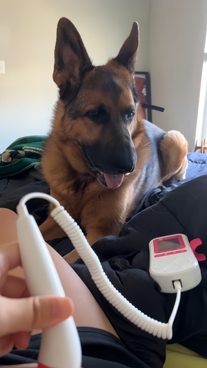 pregnant woman using BabyEcho fetal doppler at home with her dog nearby