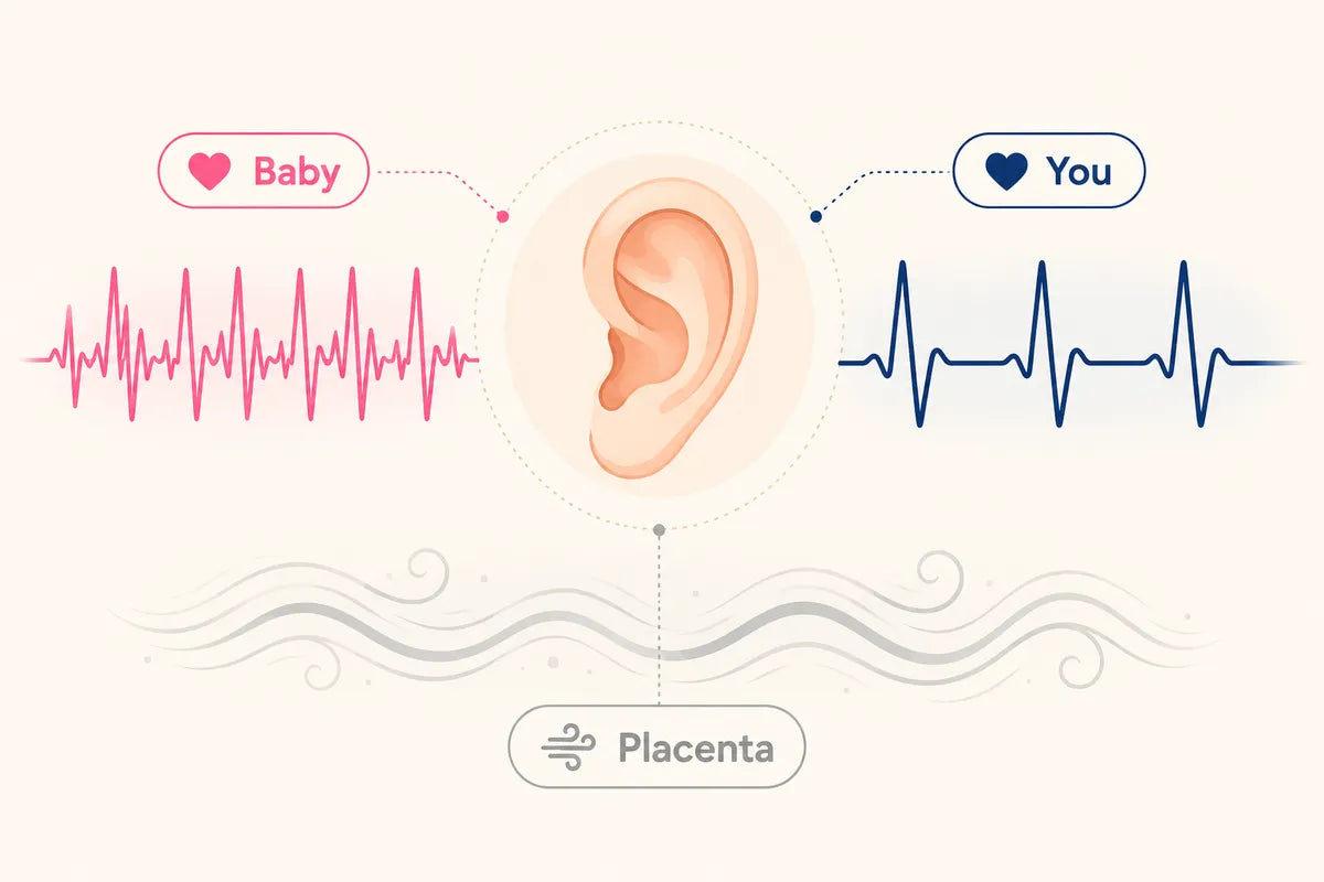 What Does Baby's Heartbeat Sound Like on a Doppler?