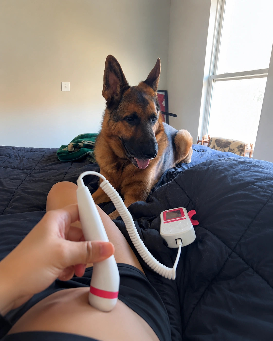 pregnant mom using BabyEcho fetal doppler with family dog nearby at home